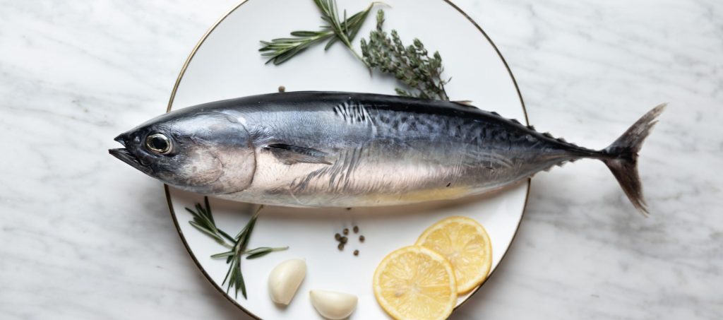 fish preservation