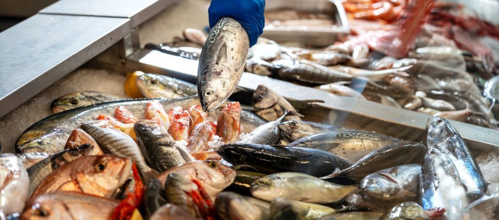 fish preservation image