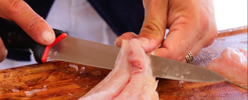 Sustainable Maltese Fish: 5 Local Catches Worth Discovering