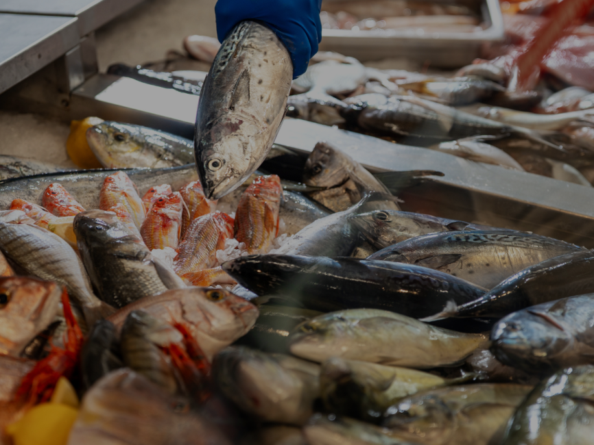 sustainable fish
