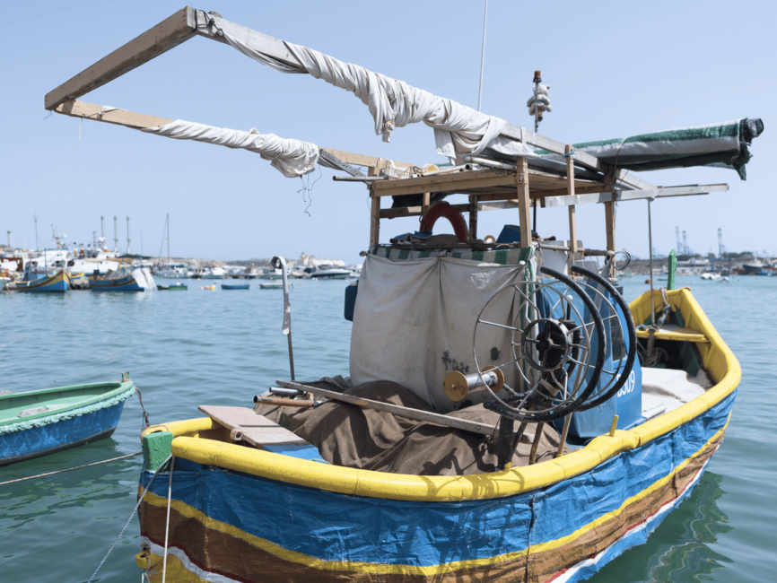 10 Reasons to Embrace a Fish-Rich Mediterranean Diet Today