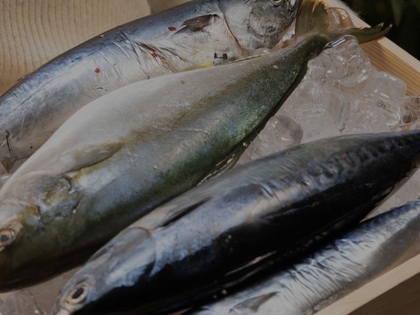 Fish Preservation