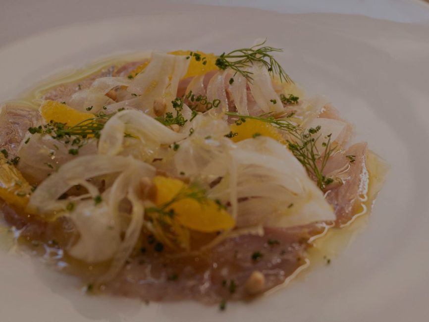 mediterranean fish
